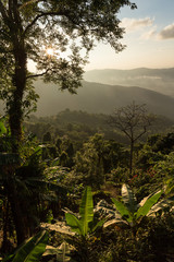 Phu Chi Fa, Thailand