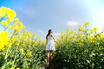 Fototapeta premium Young woman in the spring field