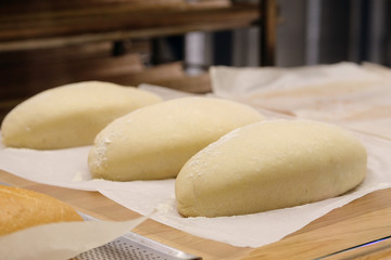 Bread before placing in hot oven.