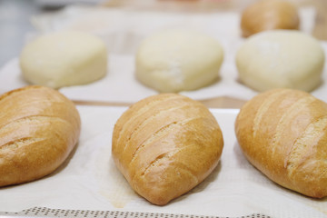 Fresh bread in the bakery