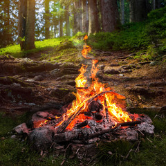 Lagerfeuer im Wald