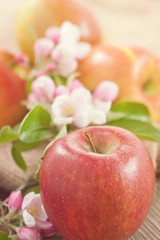 Fresh organic apples on wooden table