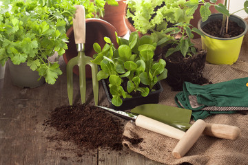 Gardening