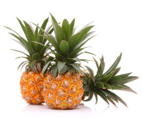 Fototapeta premium Pineapple tropical fruit or ananas