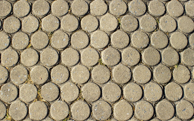 Cement Block Road Pattern in Public Park