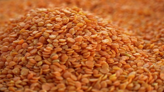 Portion of Red Lentils (seamless loopable)