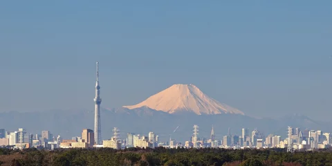 Tuinposter Tokyo city view with Tokyo sky tree and Mountain Fuji © torsakarin