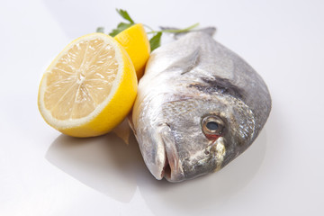 Raw sea bream fish with some ingredients
