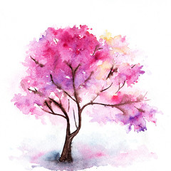Obraz premium Single cherry sakura pink tree isolated