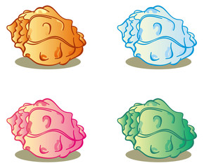 Different colored shells on a white background