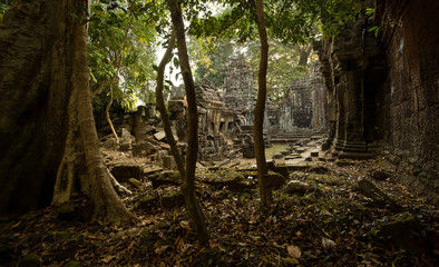 Obraz premium Preah Khan discovery