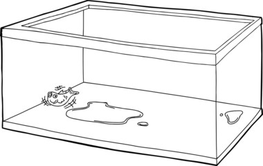Fototapeta premium Outline of Fish in Empty Tank