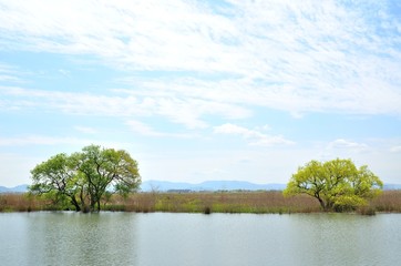 琵琶湖木の浜埋立地
