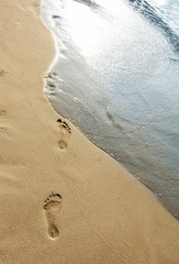 Footsteps in the sand