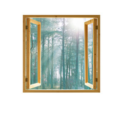 window open wooden  frame forest view morning sunlight