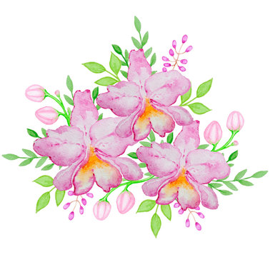 Watercolor pink orchids