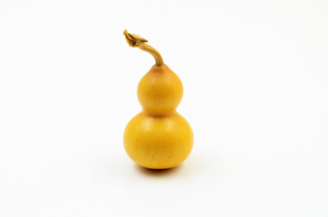 A Dry Gourd on White Background