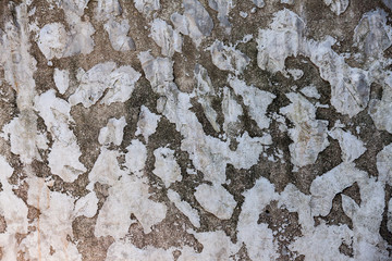 texture of old concrete wall  background.