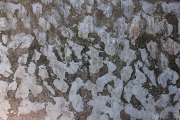texture of old concrete wall  background.