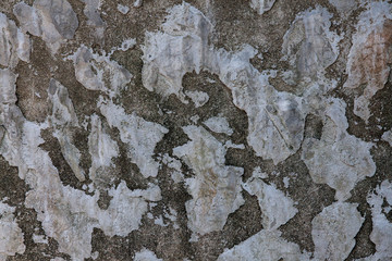 texture of old concrete wall  background.