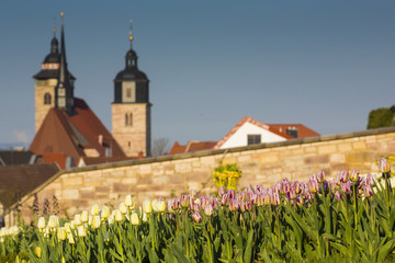 Schmalkalden, Schlossterassen mit Tulpen, Stadtkirche St. Georg