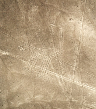 Unesco Heritage: Lines and Geoglyphs of Nazca, Peru - dog