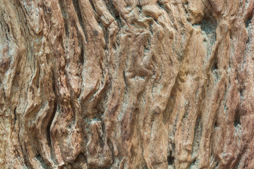 Wooden texture background