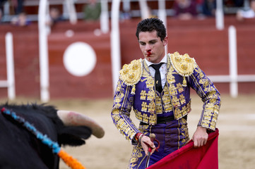 Matador in the bullring, the bull fighting