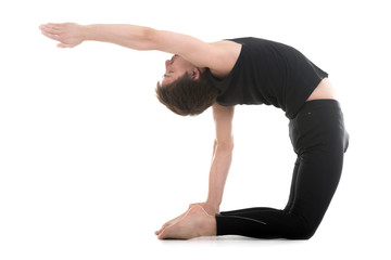 Naklejka premium Camel pose