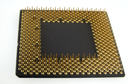Processor seen from the gold pins on a white background.