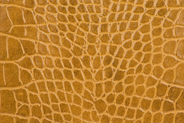 Brown Leather texture