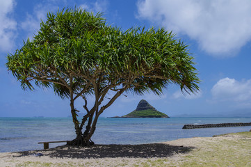 Mokoli'i island