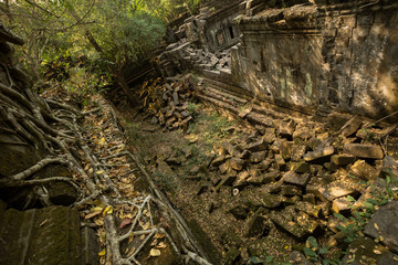 Beng Mealea roots and room