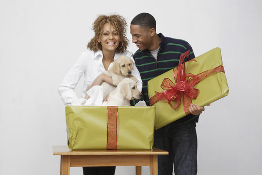 African couple taking puppies out of gift box