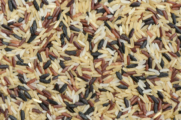 Mixed multicolour rice background
