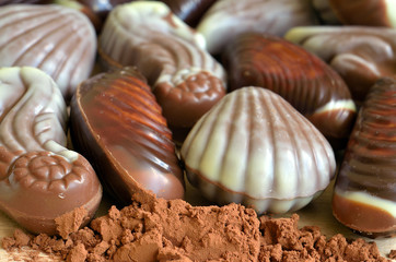 Chocolate candies shaped like seashell and seahorse