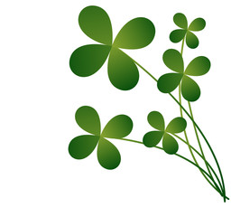 Green Clover Leaves