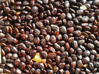 tamarind more seed