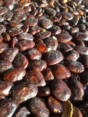 tamarind more seed vertical