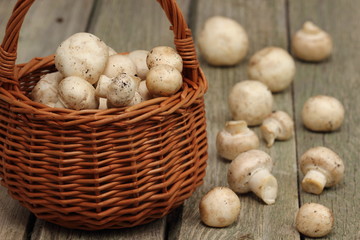 Champignon mushroom on a wooden table