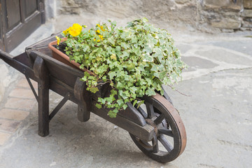 Fototapeta na wymiar wheelbarrow with flowers