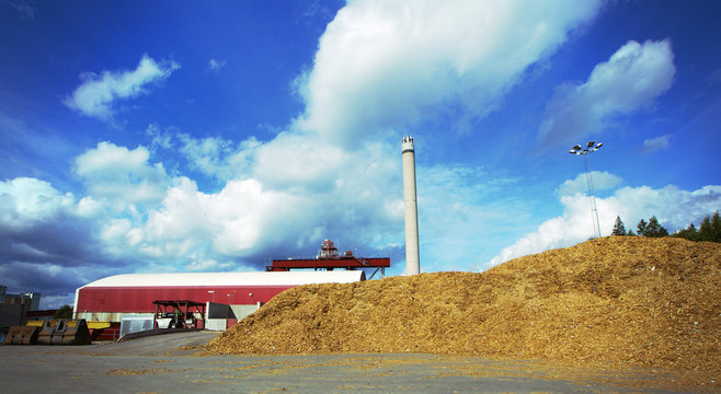 bio power plant with storage of wooden fuel (biomass) against bl