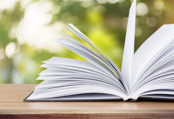Book. Red book