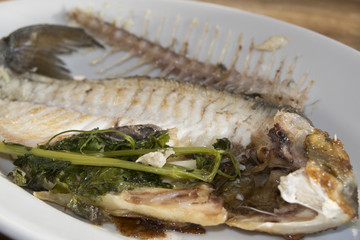 sea bream at the wine