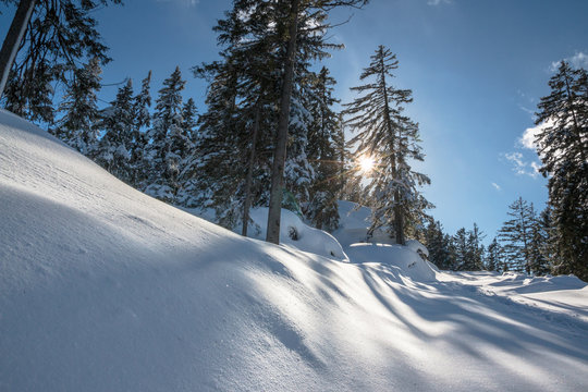 Tiroler Winterlandschaft