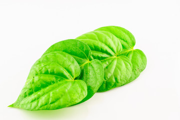 Green betel leaf