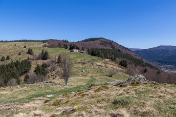 Fototapeta na wymiar paysage des Vosges