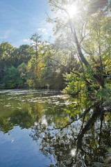 Fototapeta na wymiar Trees reflecting in a lake, sunbeams