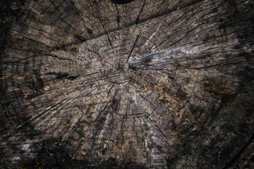 crack on old wood texture
