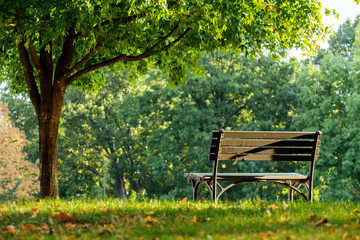A bench at the park.